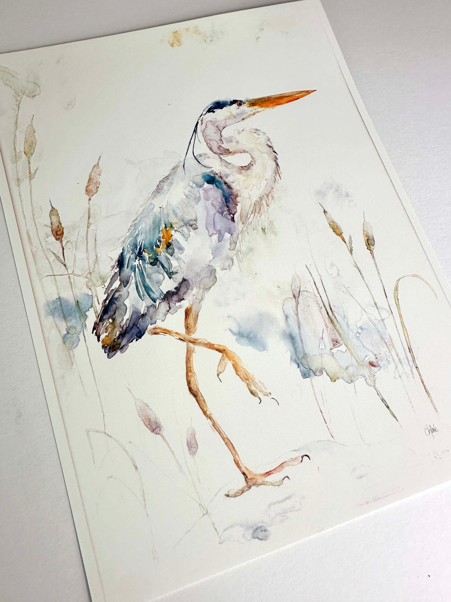 Blue Heron Artist Proof Print