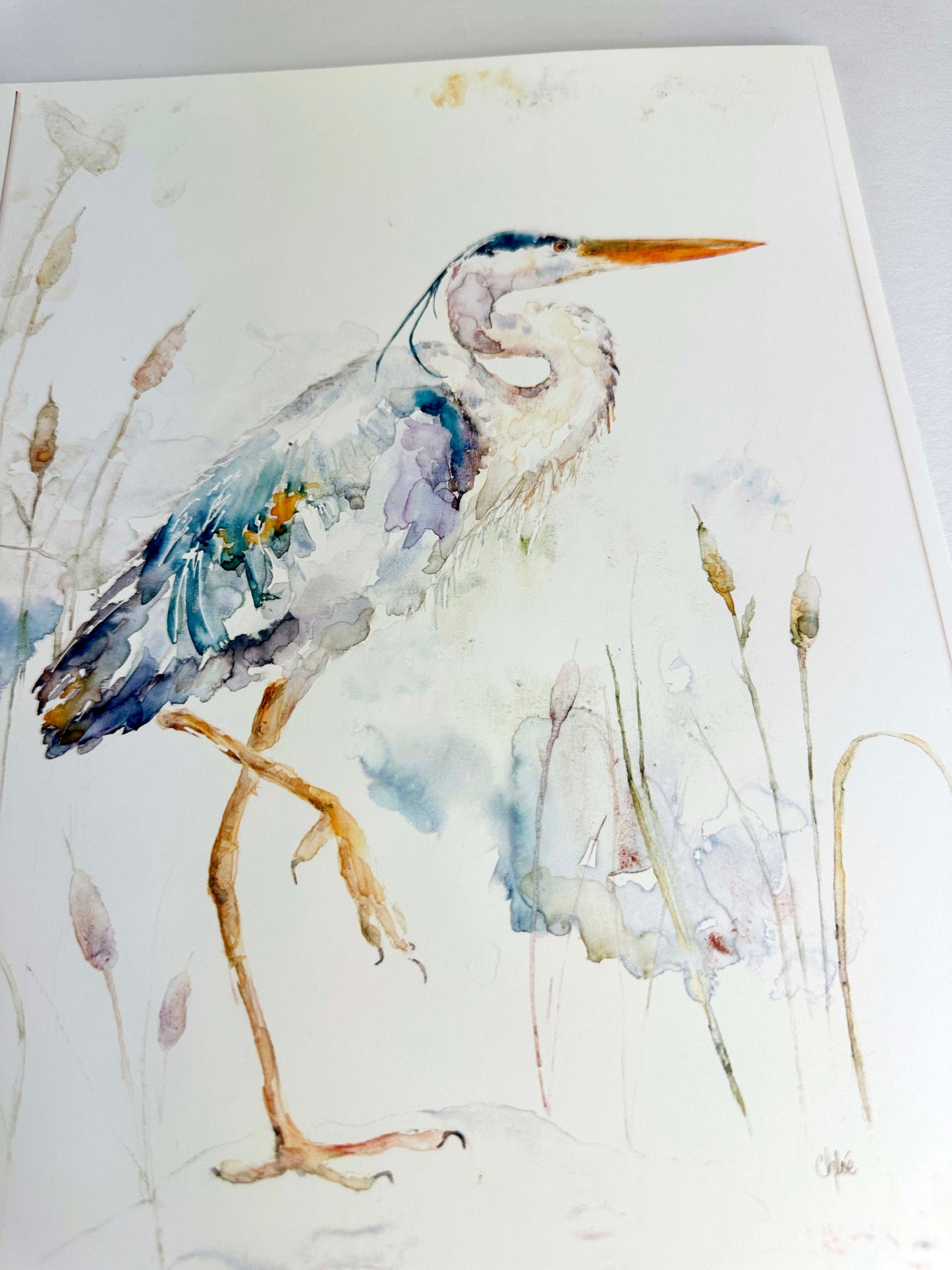 Blue Heron Artist Proof Print