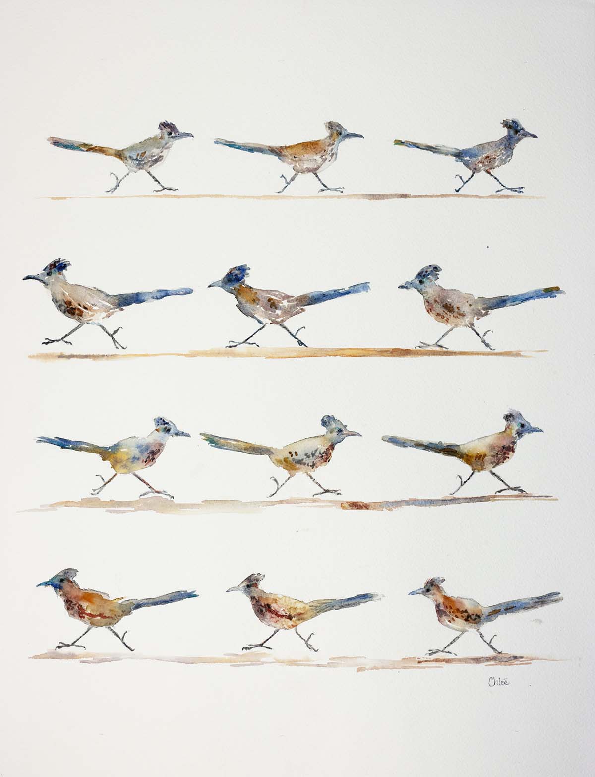 Roadrunner Parade | Southern Utah Desert roadrunner giclee print|New!