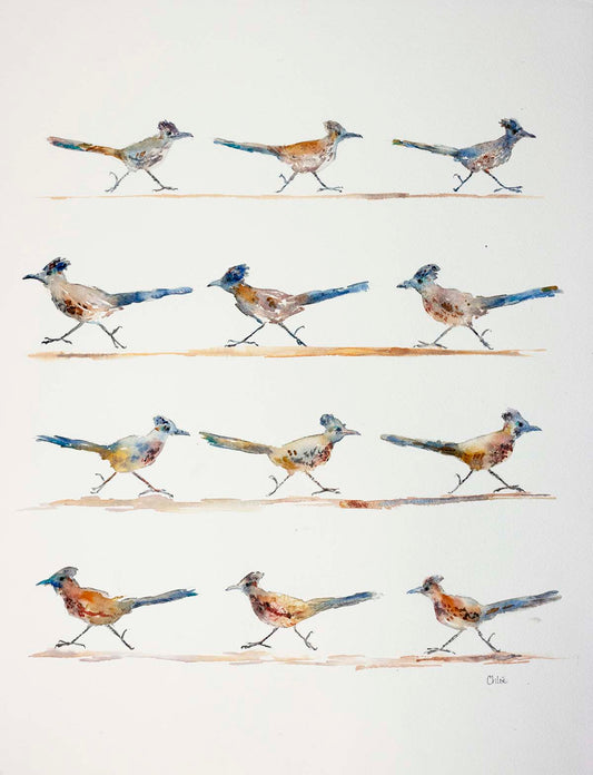 Roadrunner Parade | Southern Utah Desert roadrunner giclee print|New!