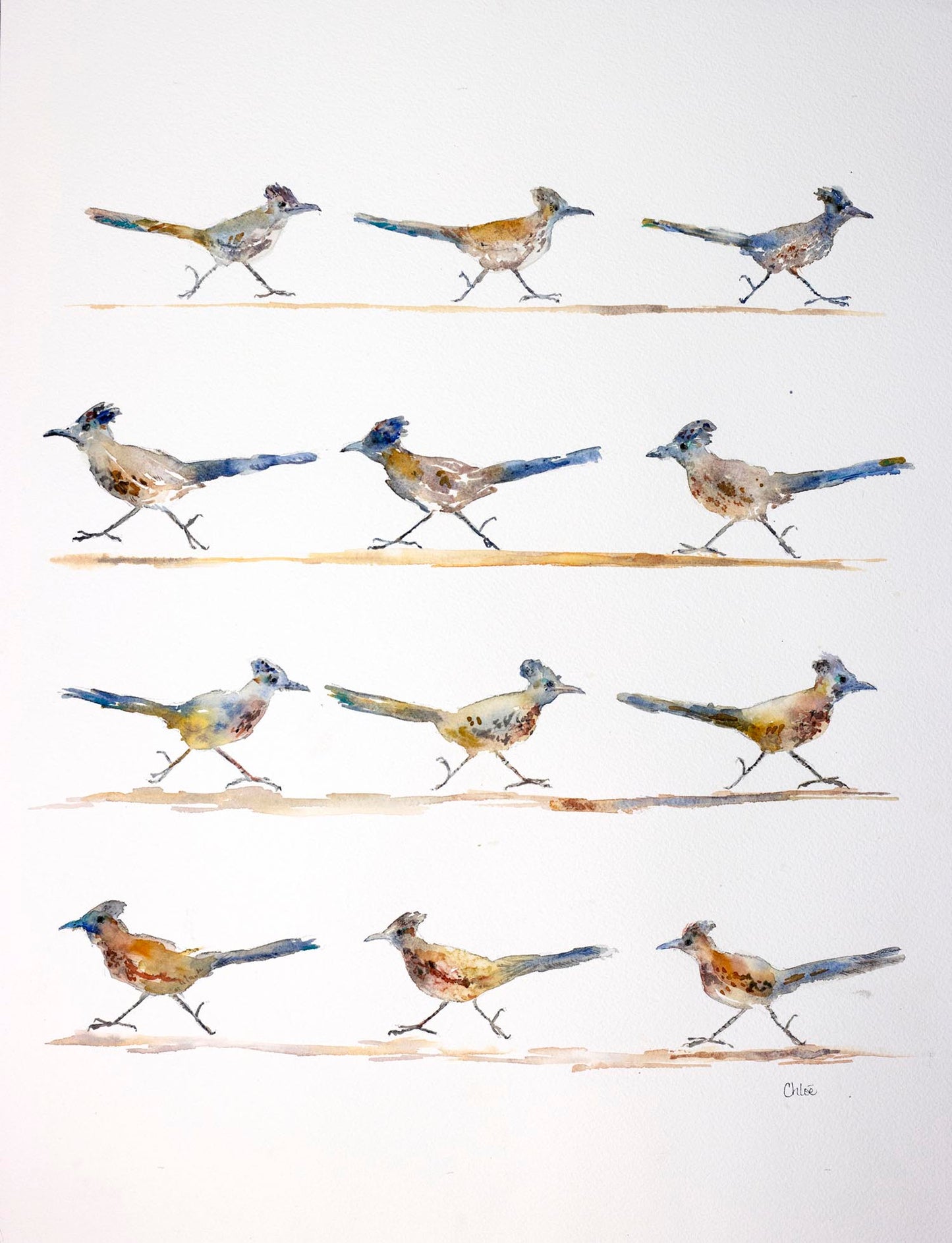 Roadrunner Parade | Southern Utah Desert roadrunner giclee print|New!