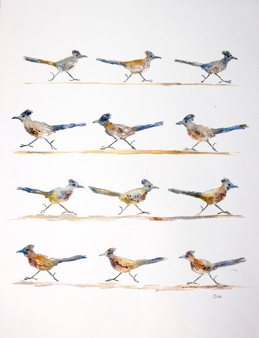 Roadrunner Parade | Southern Utah Desert roadrunner giclee print|New!