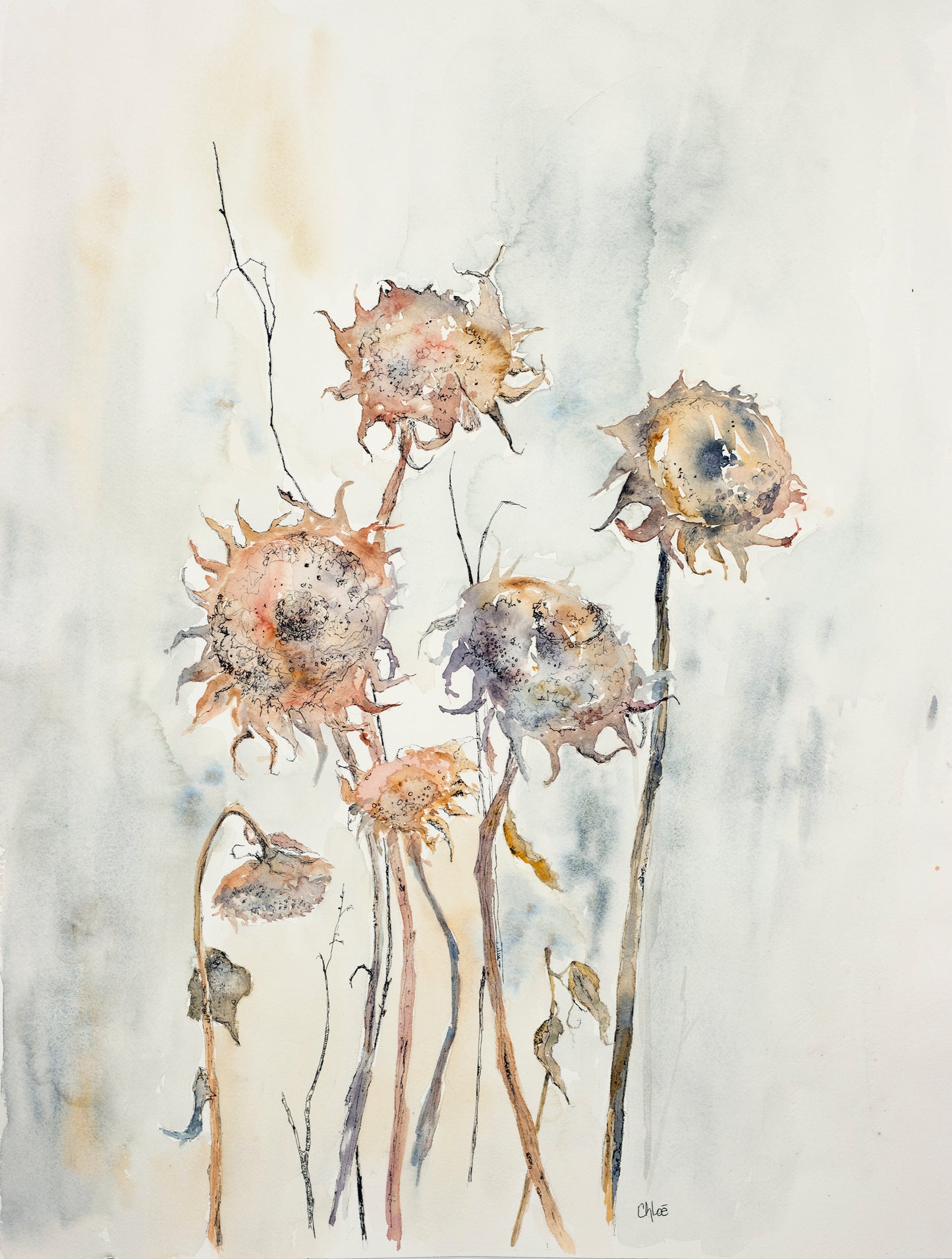 The Last Bloom