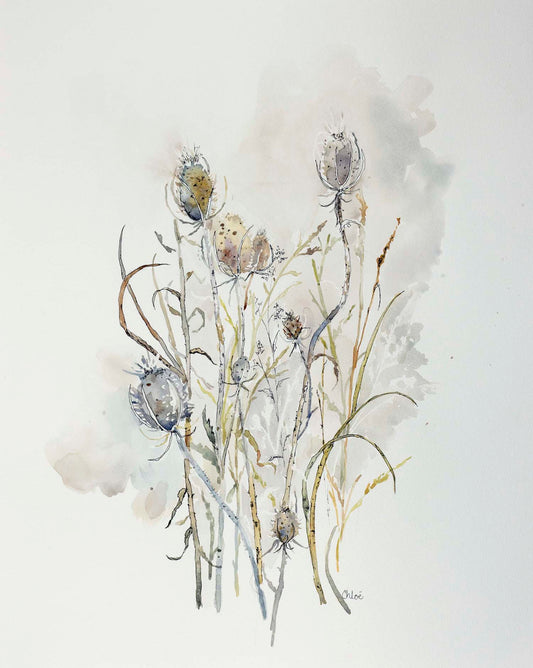 Autumn Thistles | Rustic thistles Art Print