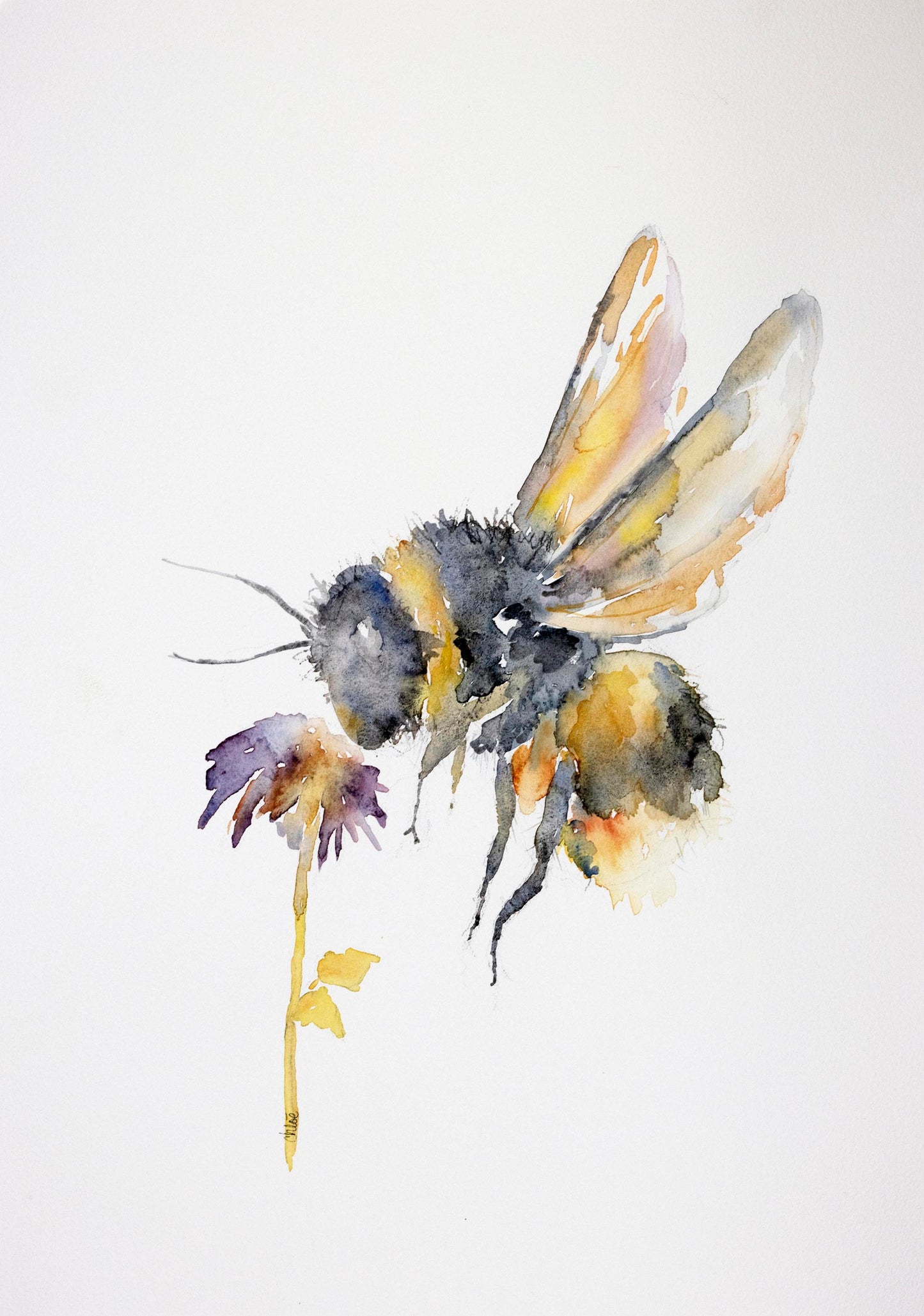 Bumble Bee