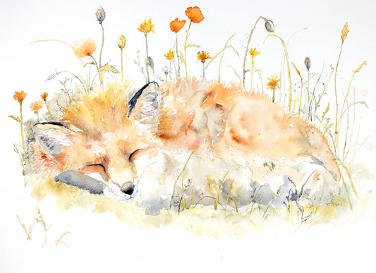 Fox Nap in Poppies - Original Watercolor Painting