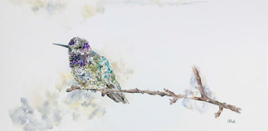 Hummingbird & Branch