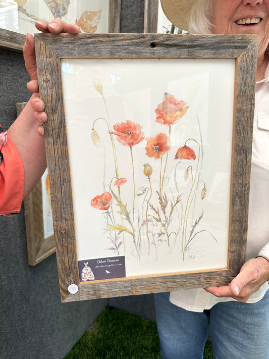 Poppies