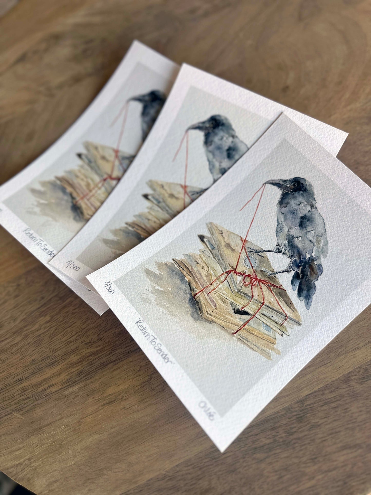 Return To Sender, Giclee Art Print of Crow and forgotten letters Now Available!