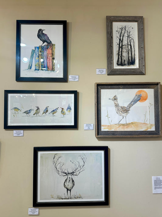 Gallery 873 Kayenta UT (St George UT)