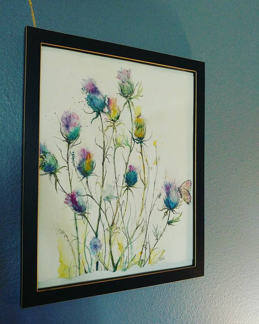Thistle study