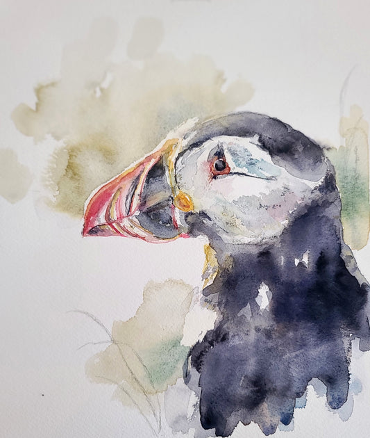 Puffin Portrait
