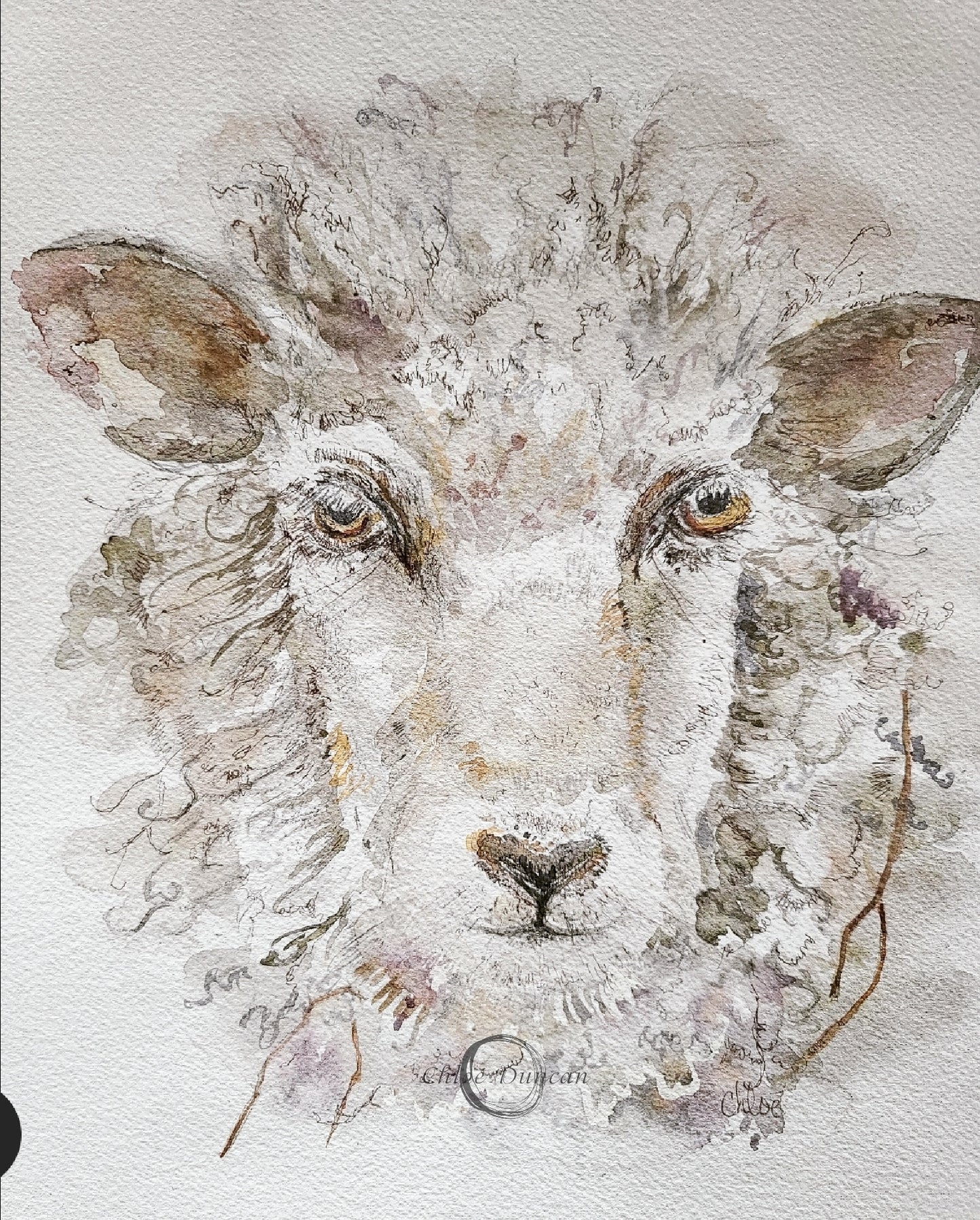 Woolly