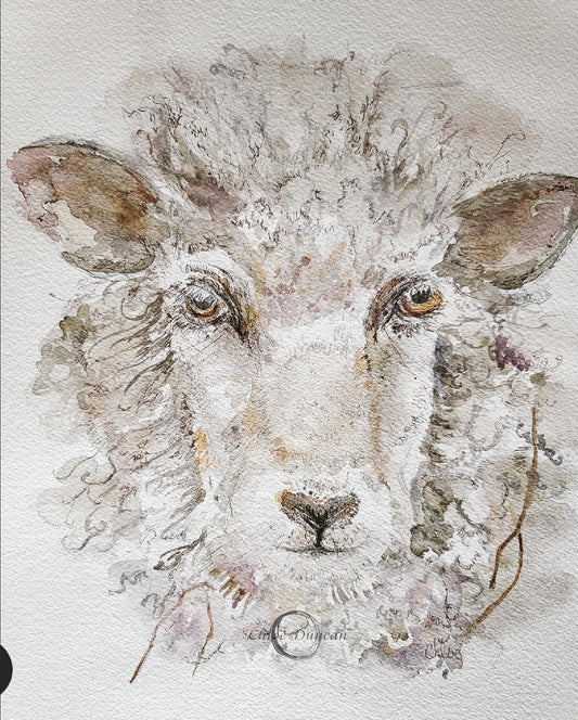 Woolly