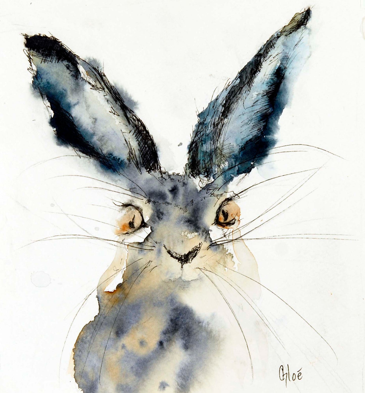 Curious Hare