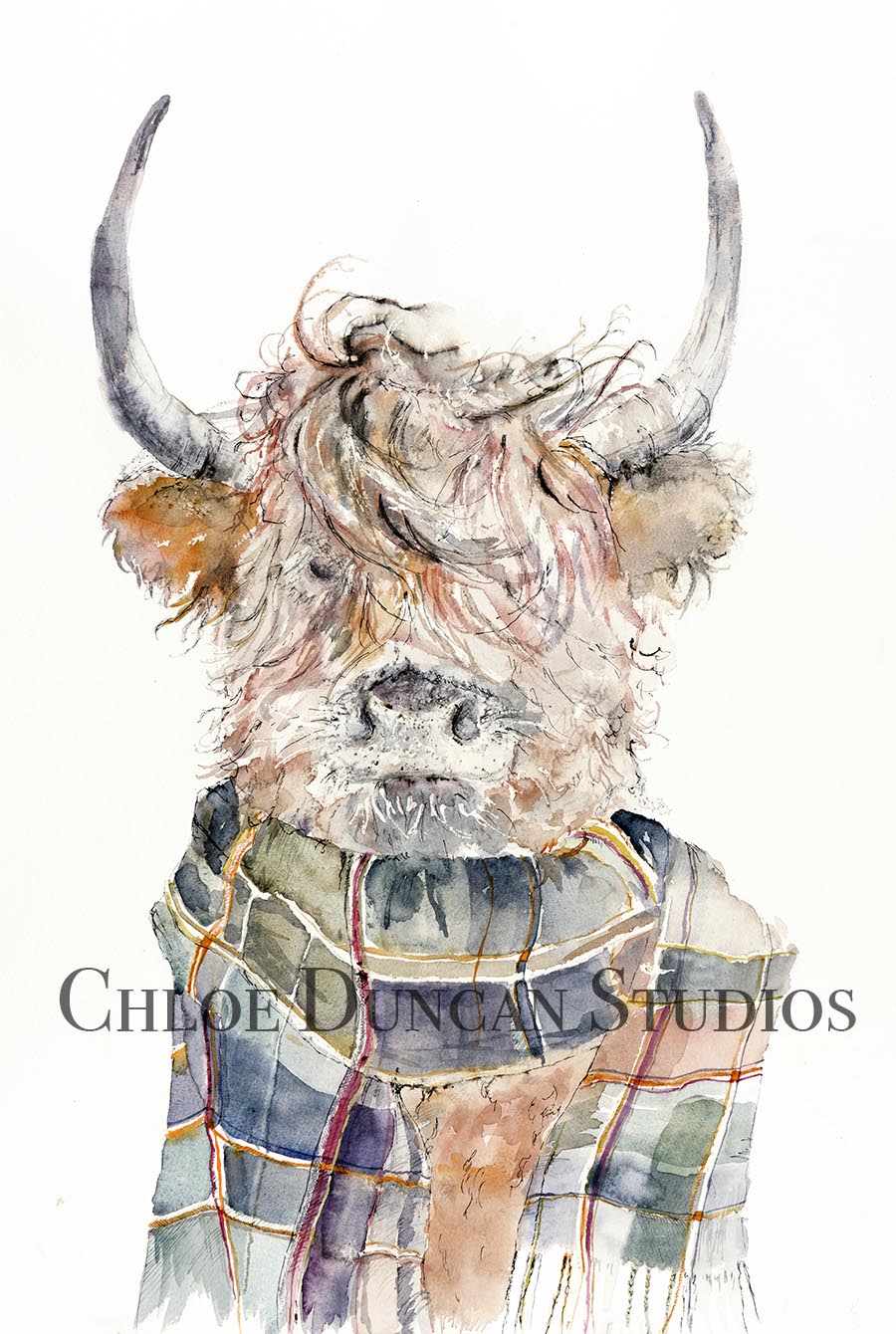 Highland scottish cow wearing a tartan scarf. Watercolor highland cow from scotland by Chloe Duncan