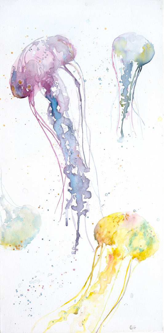 Jelly Fish