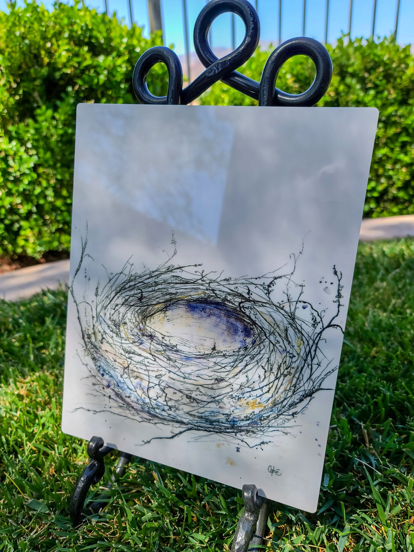 Empty Nest