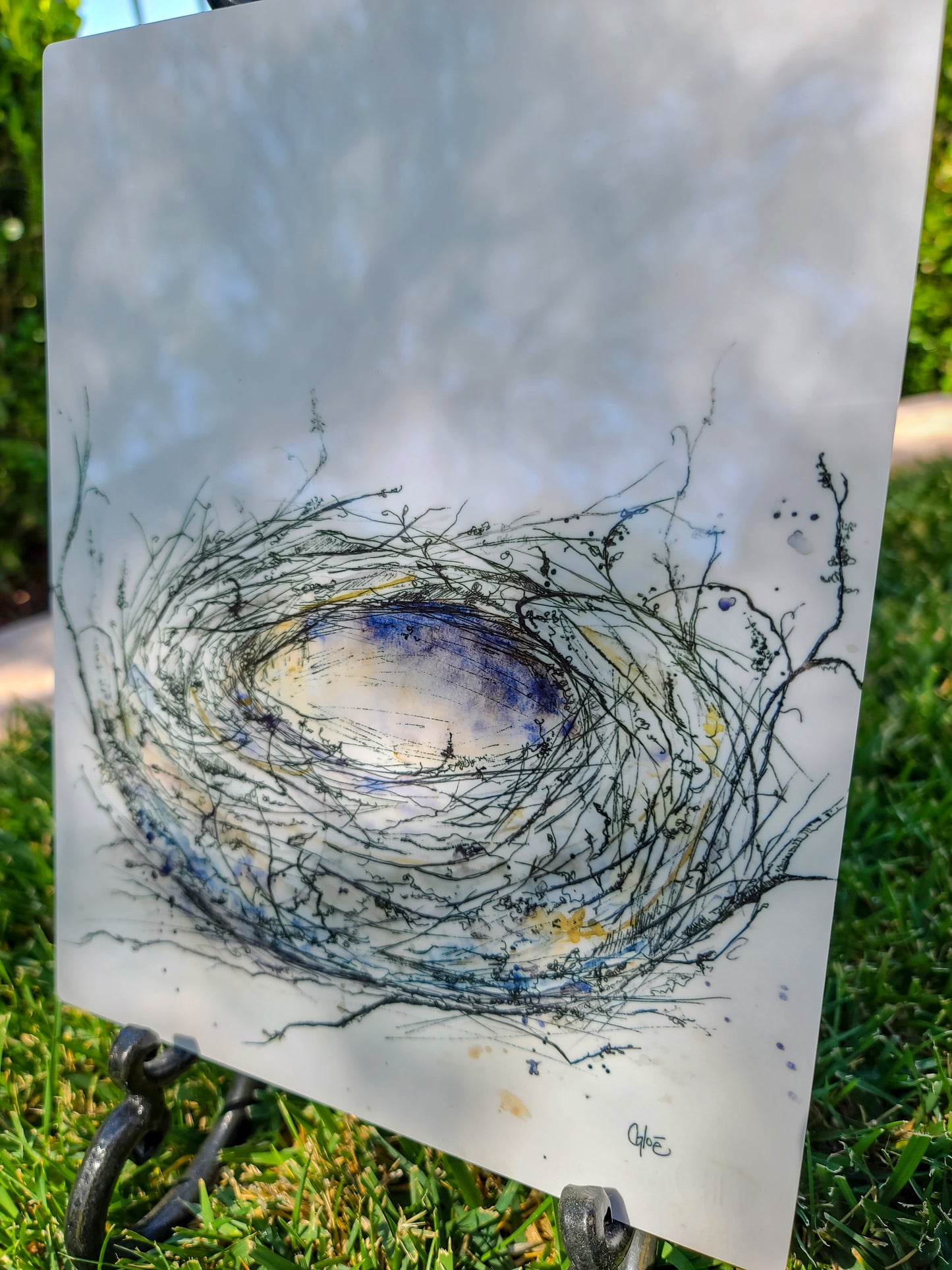 Empty Nest