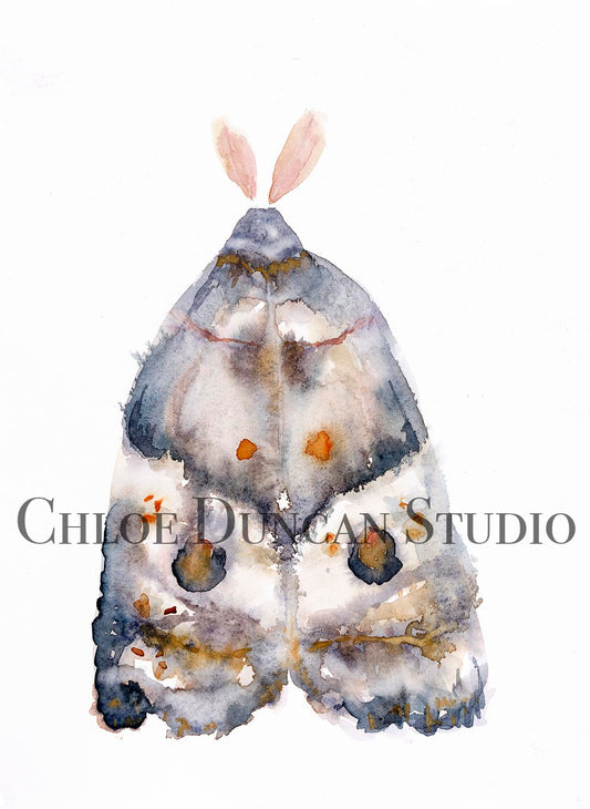 "The Moth"