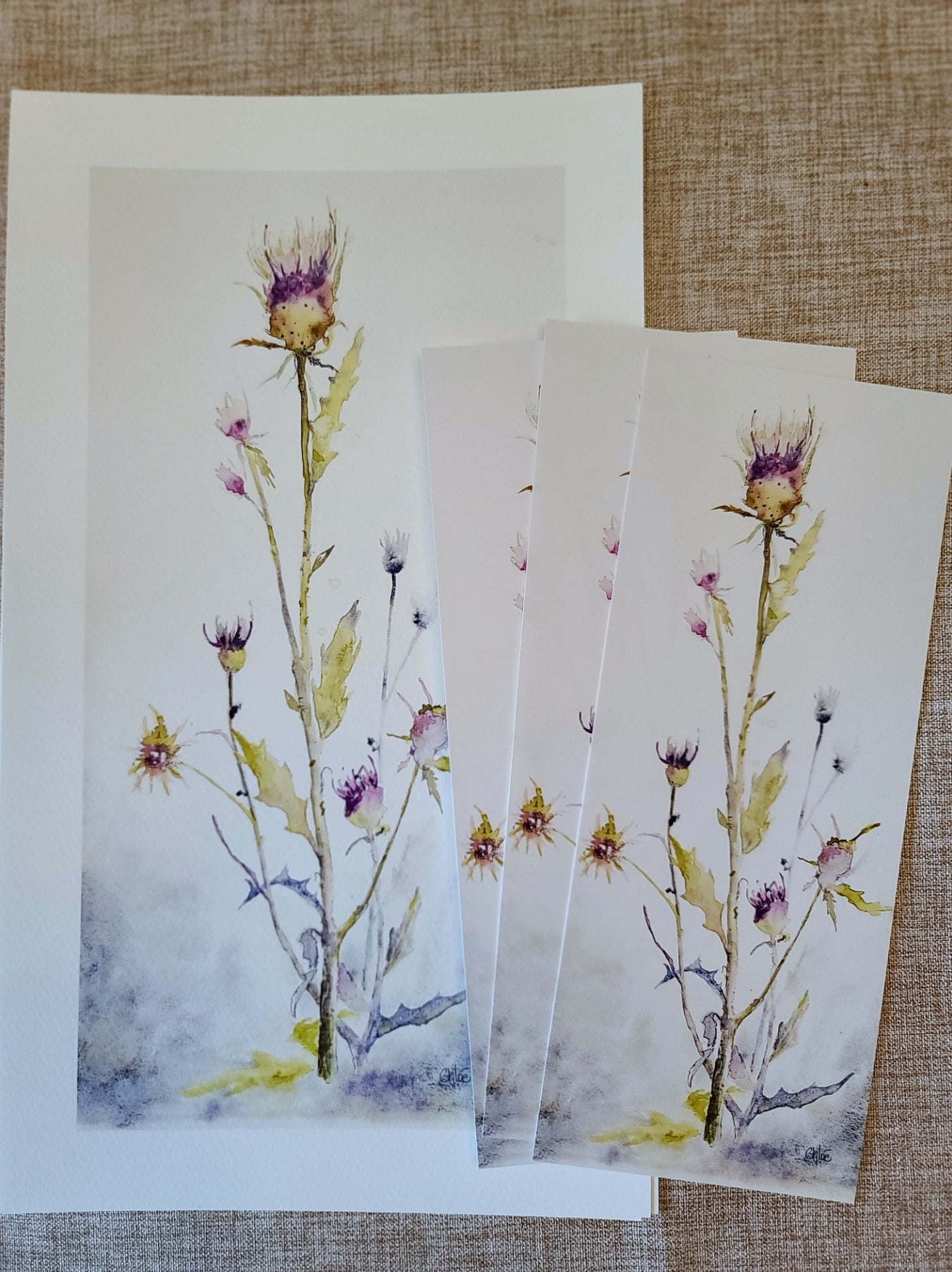 Wild Thistle