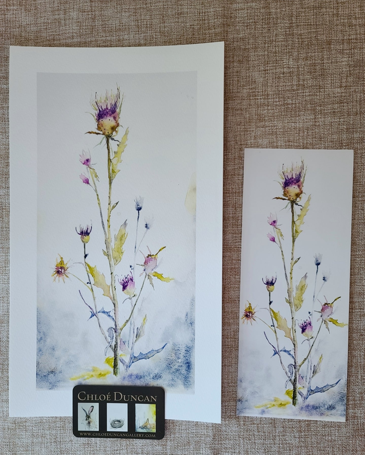 Wild Thistle