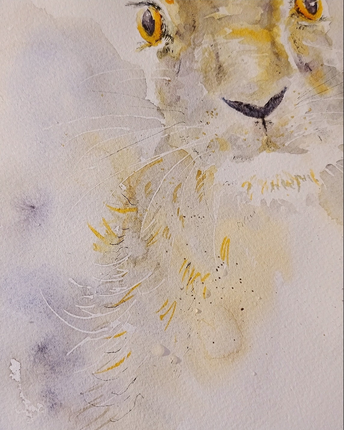 Golden Hare