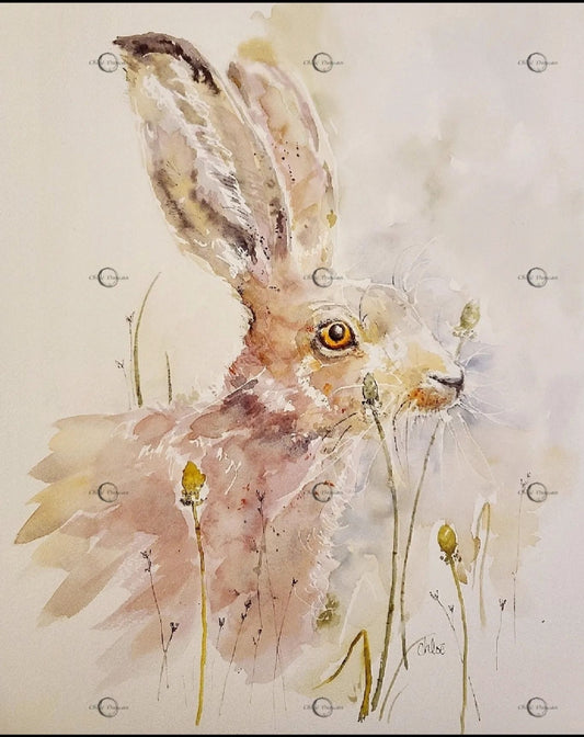 Hare & Dandelion