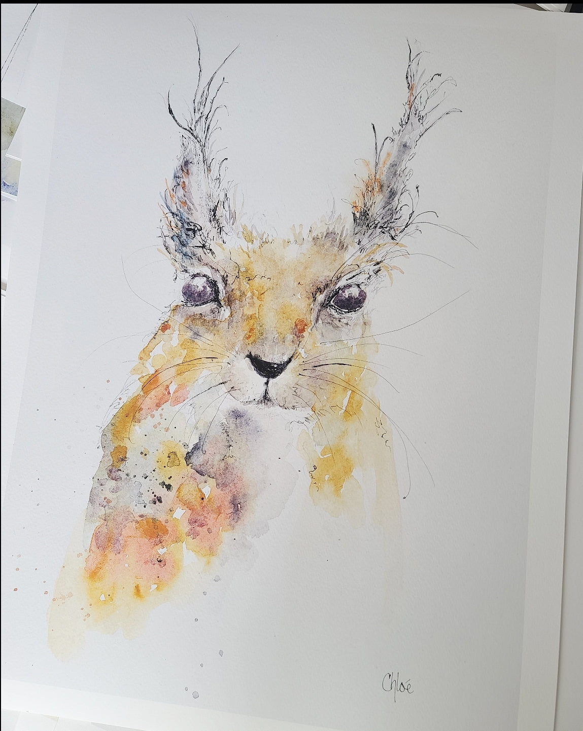 Portrait of a Squirrel