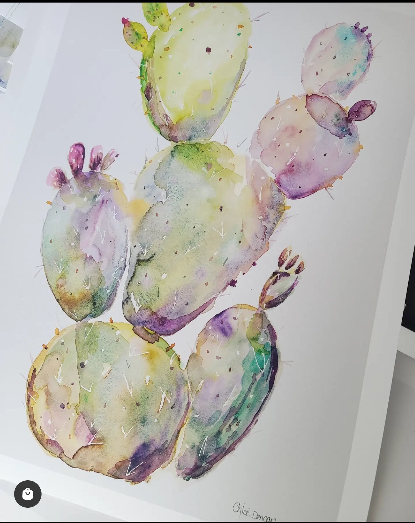 "Wild Cactus"