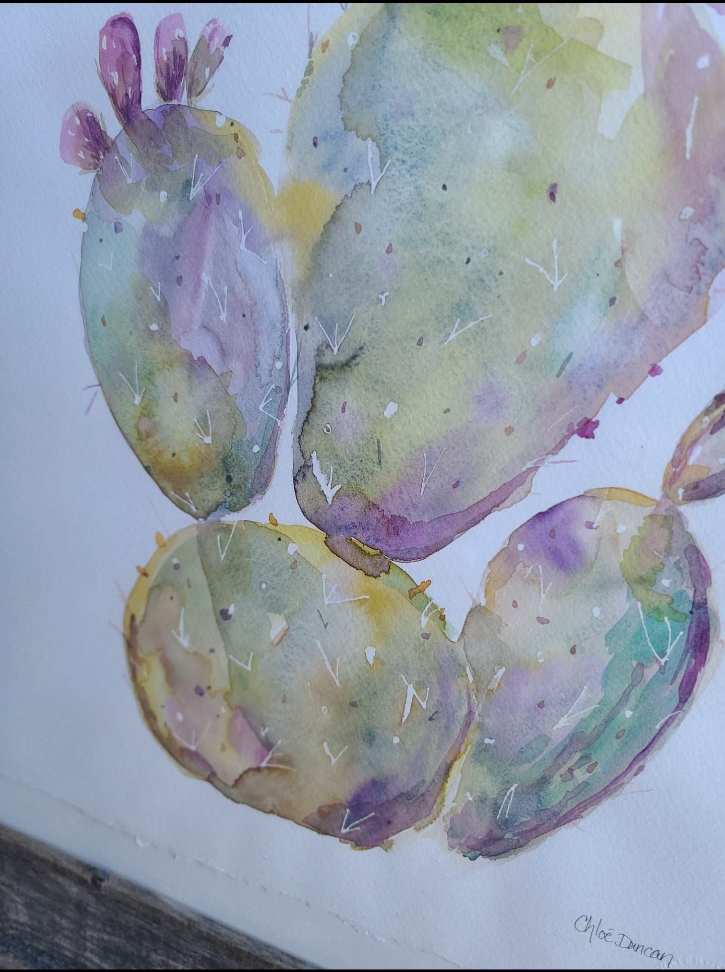 Wild Cactus