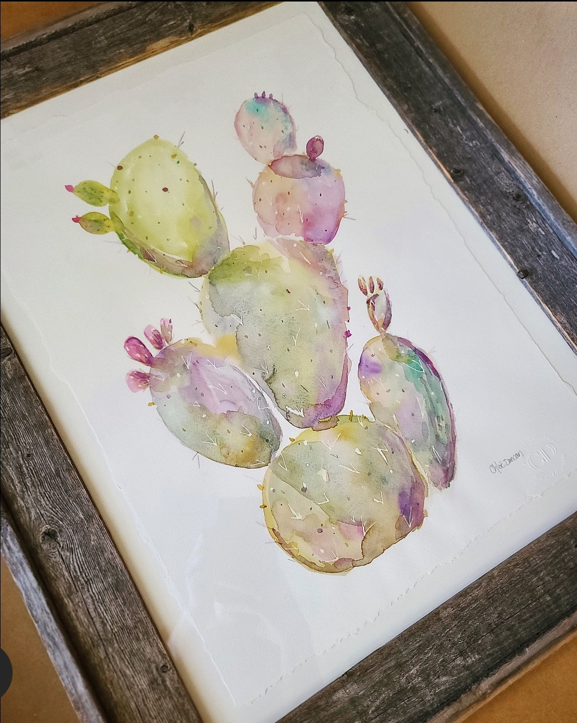Wild Cactus