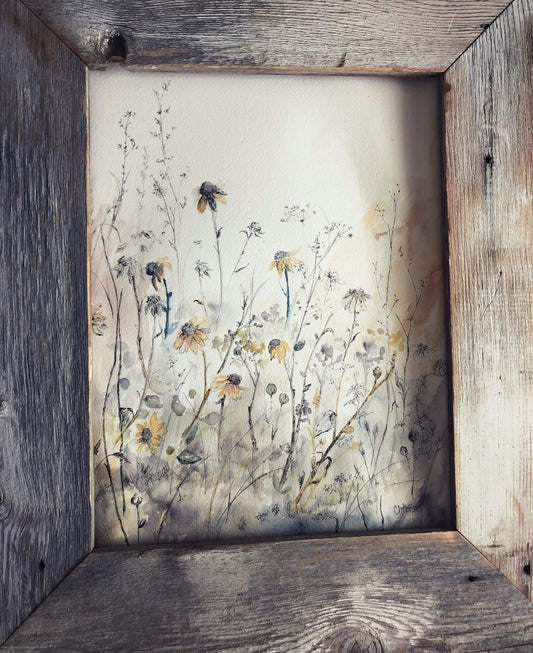 Daisies