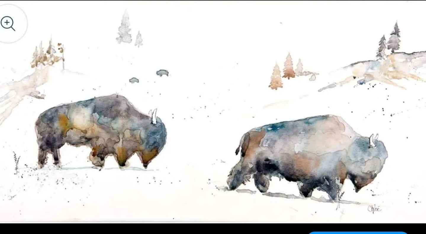The Bison