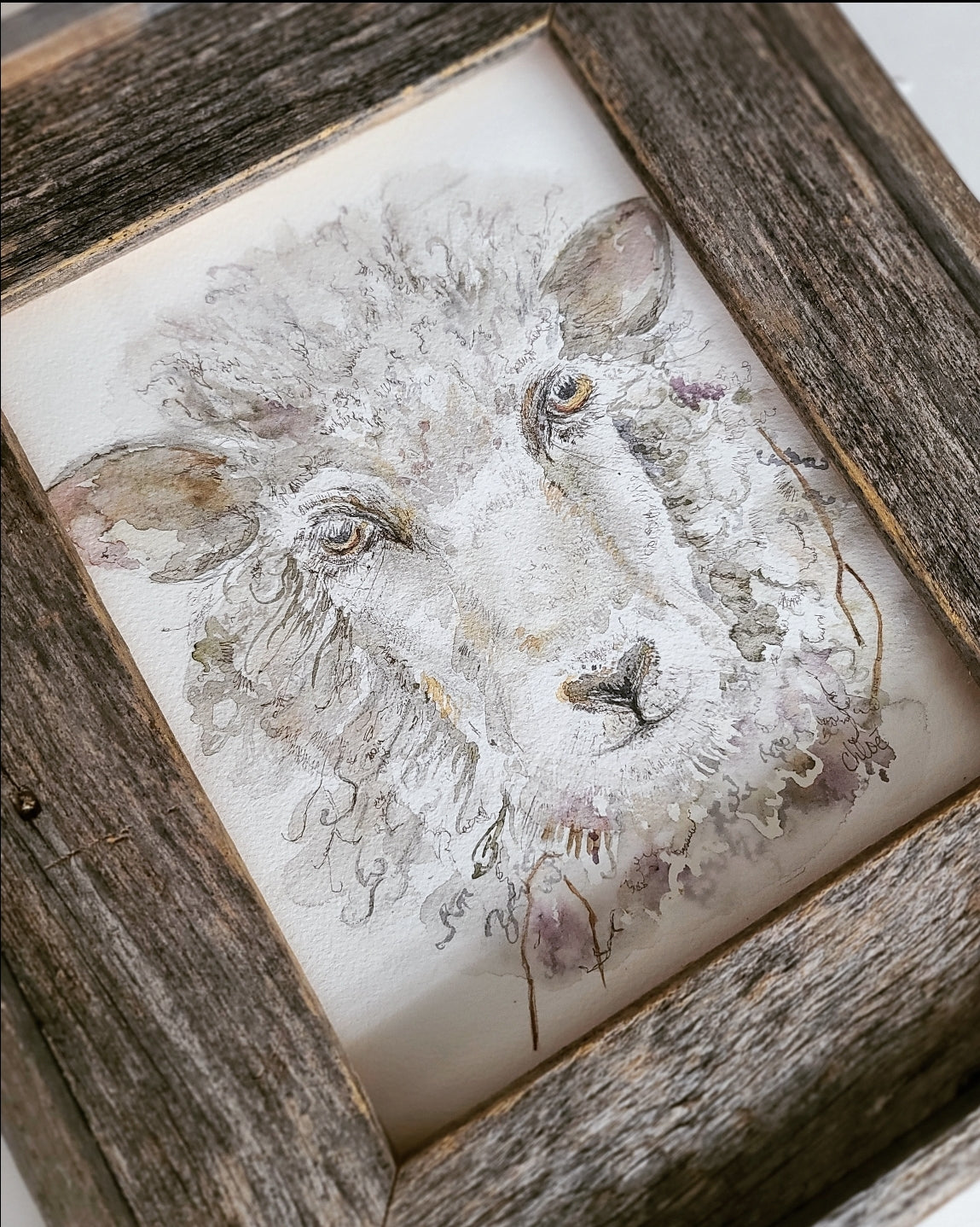 Woolly