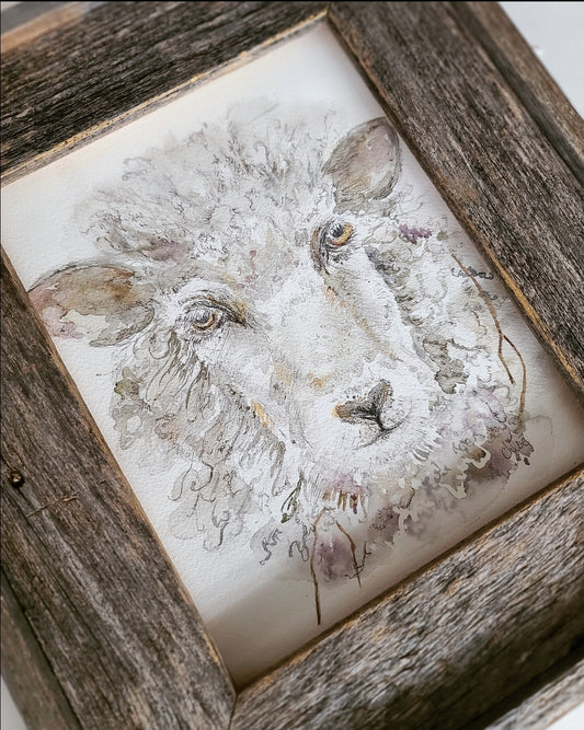 Woolly