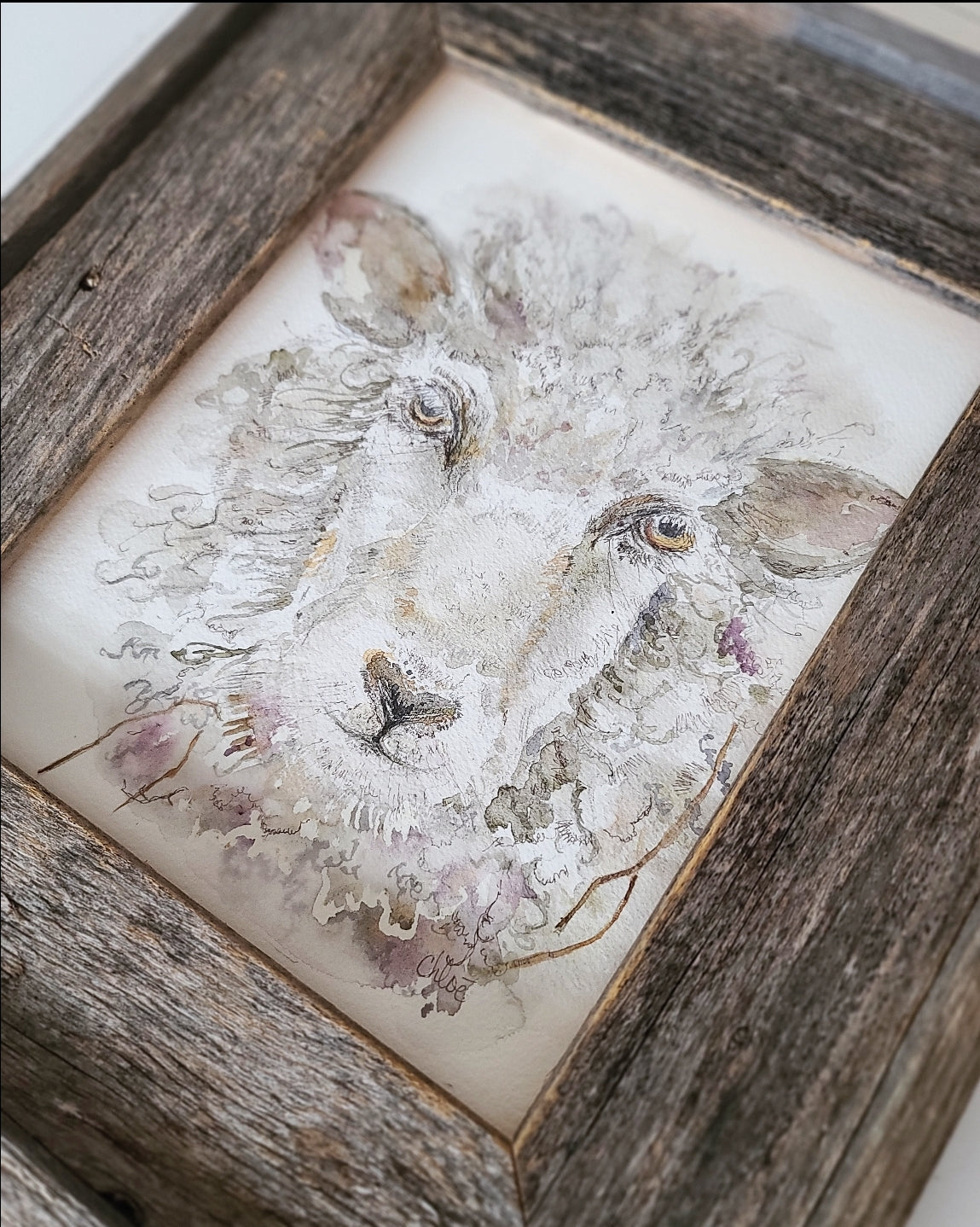 Woolly