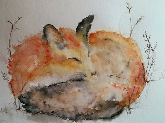 Fox Study