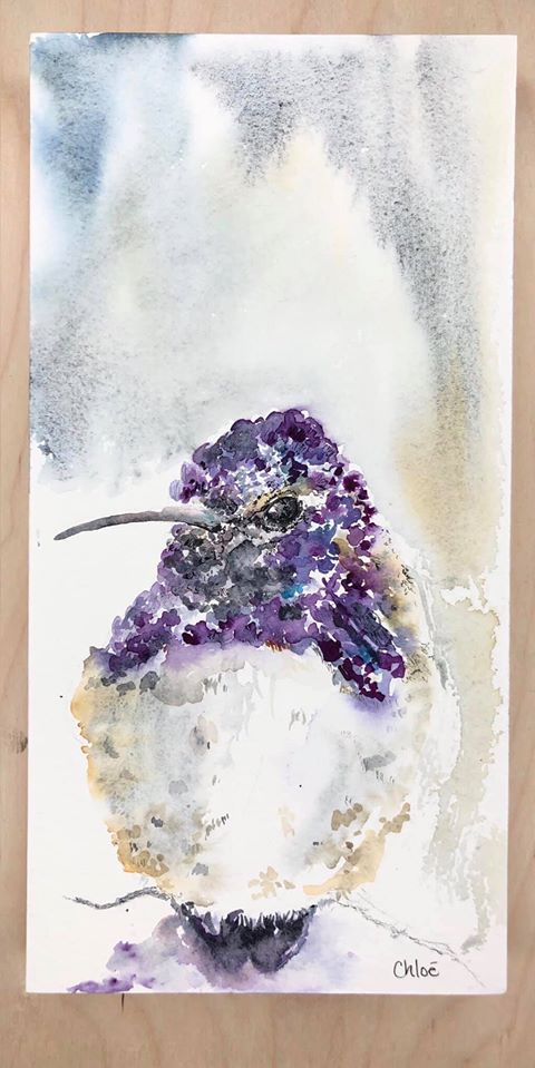 hummingbirds, purple hummingbird, bird art, watercolor birds, beautiful watercolor, chloe duncan