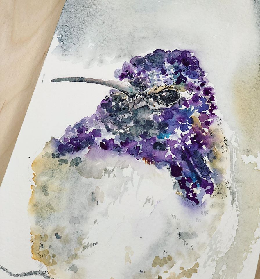 hummingbirds, purple hummingbird, bird art, watercolor birds, beautiful watercolor, chloe duncan