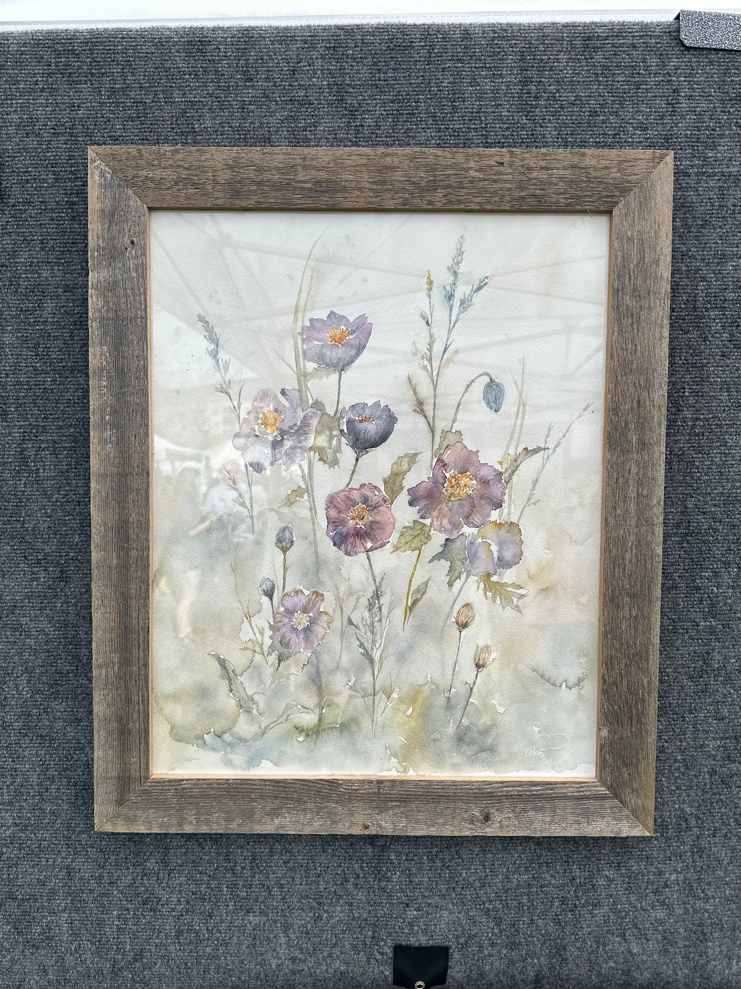 Blue Poppies