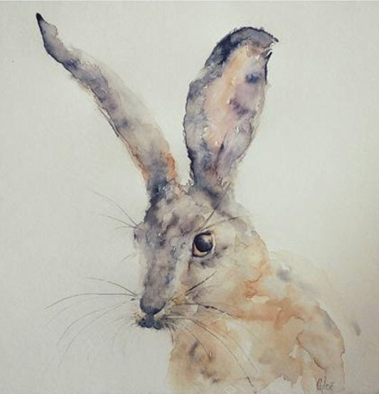 Hare - Currently out of stock
