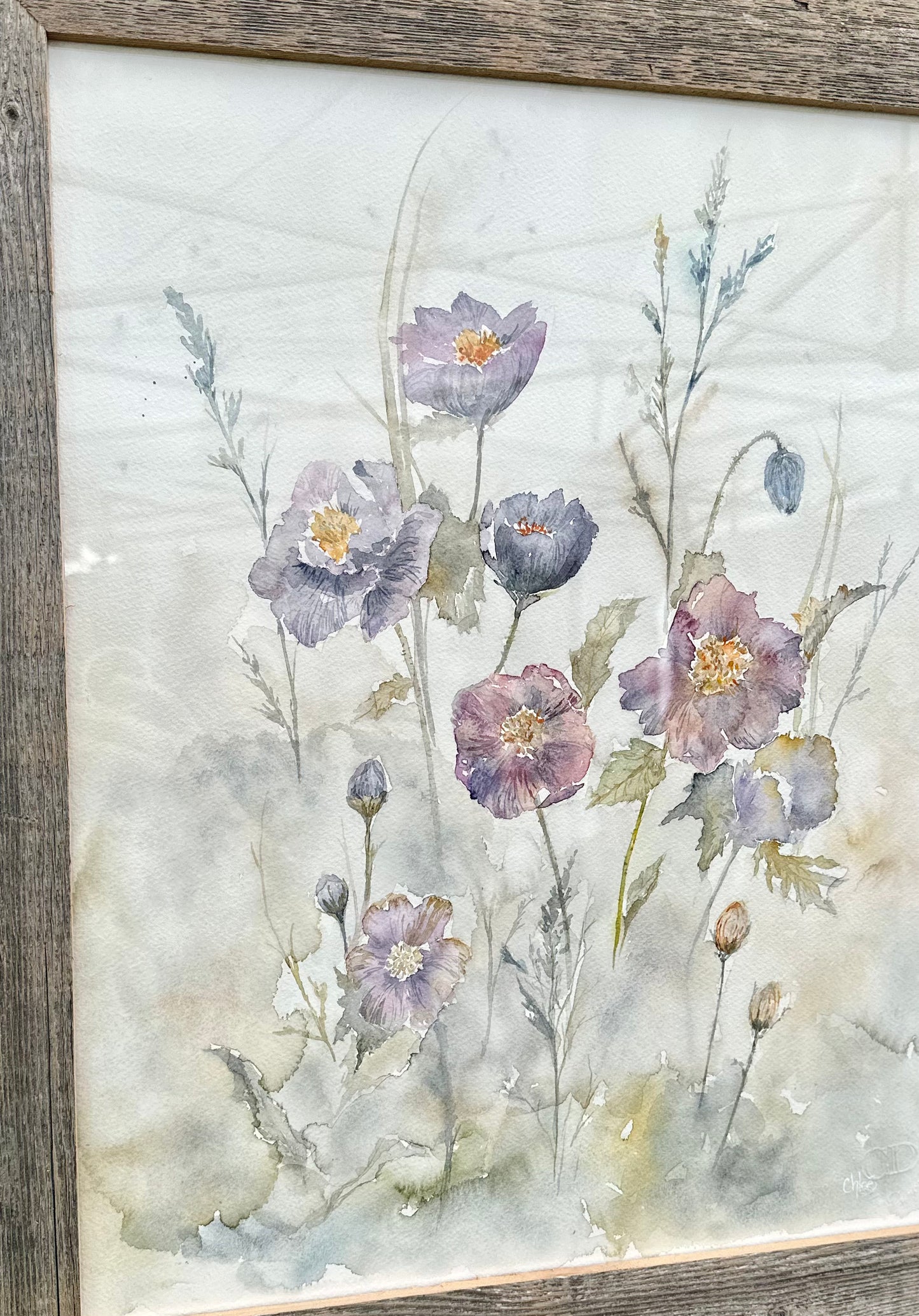 Blue Poppies