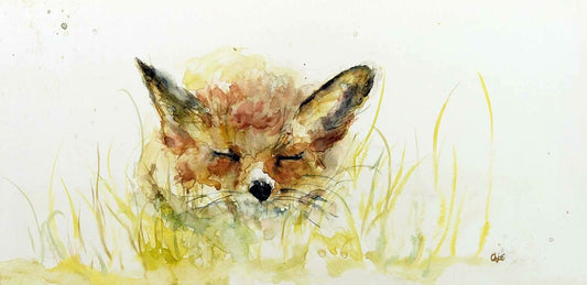 Sleepy fox