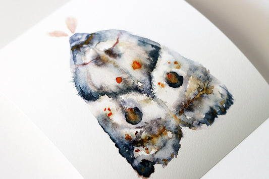 "The Moth"