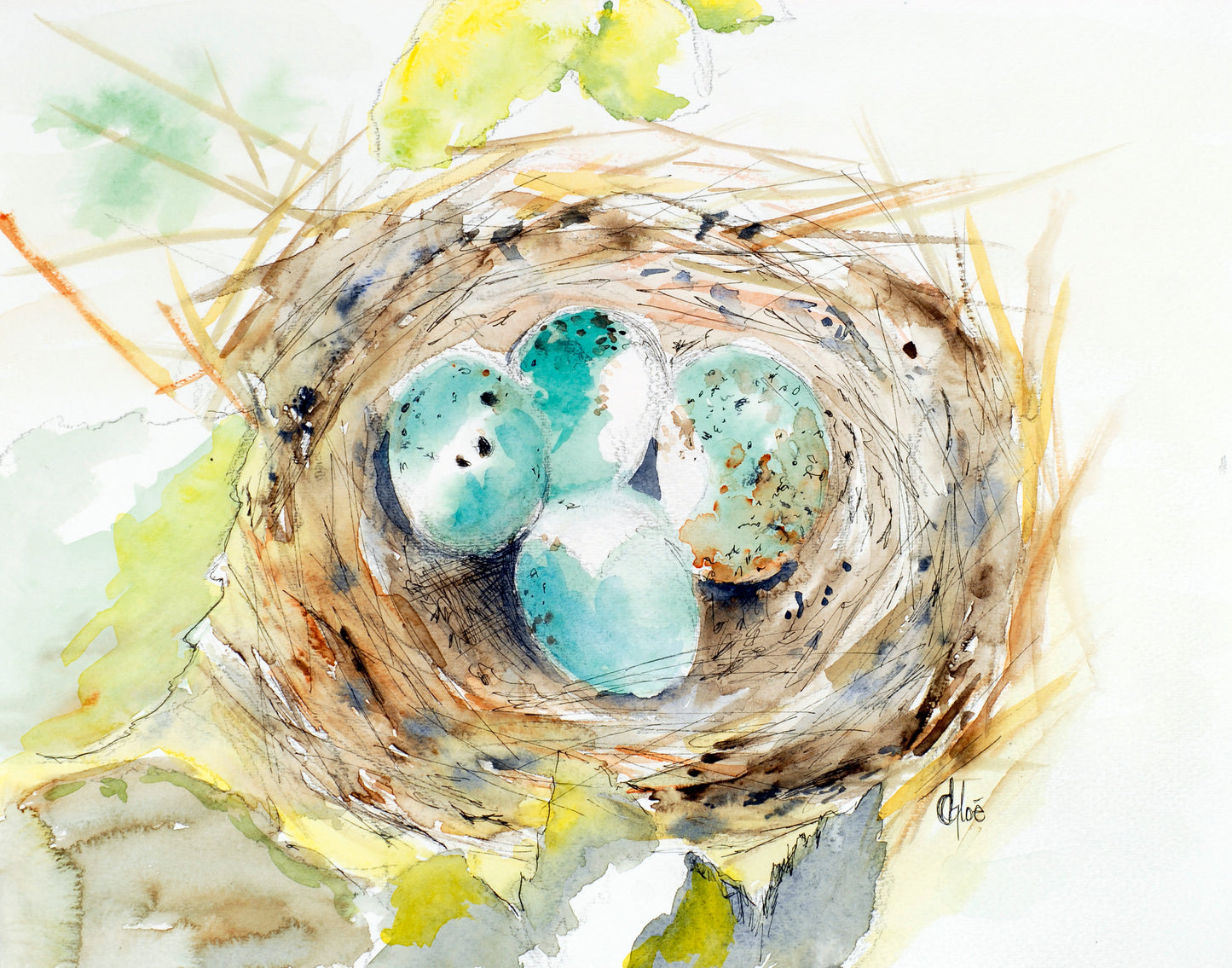 Nest Egg