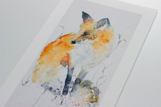 Watchful Fox