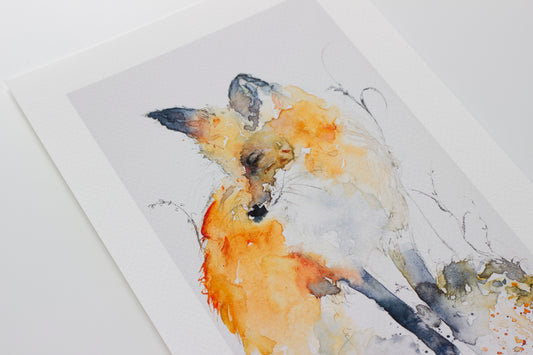 Watchful Fox