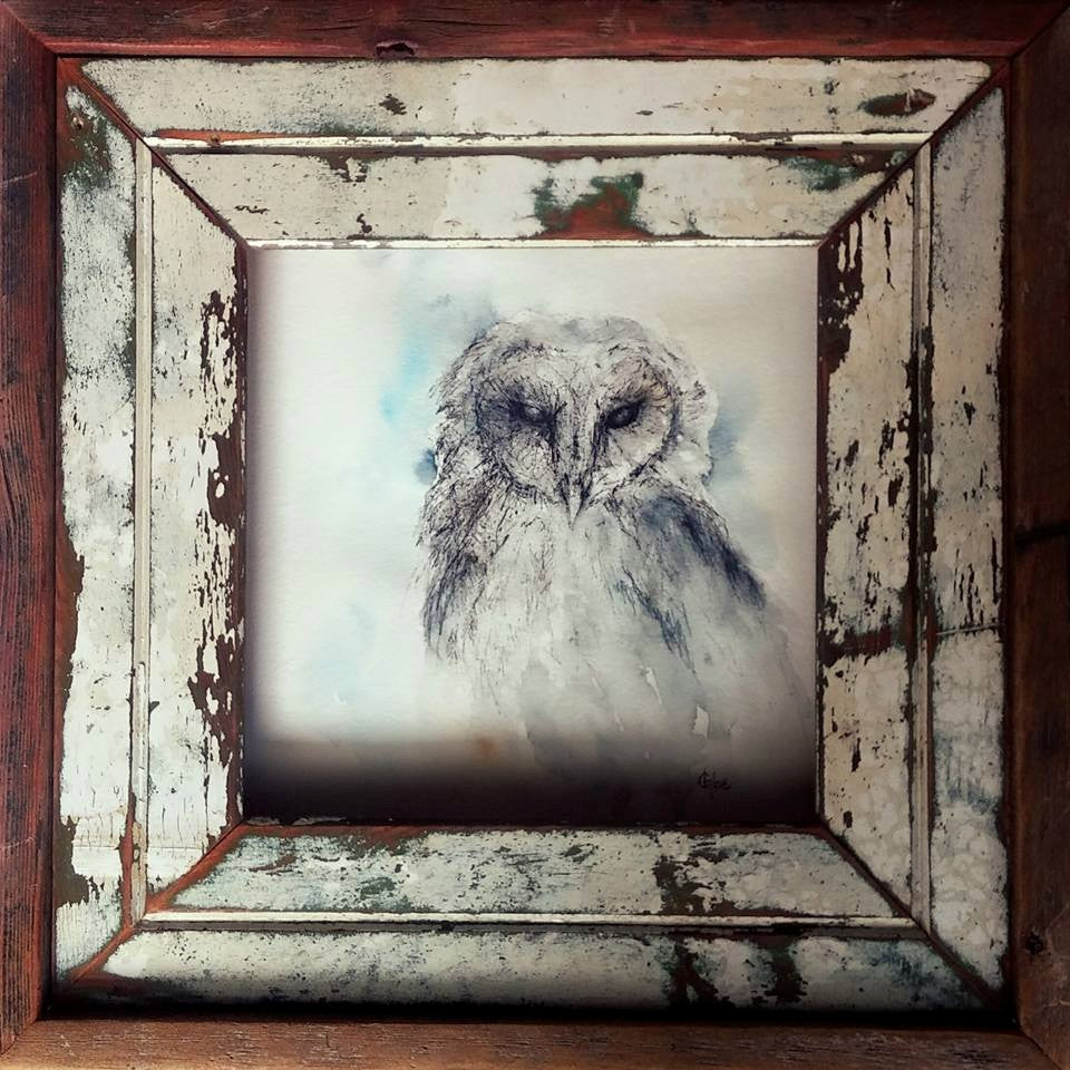 Owl Study