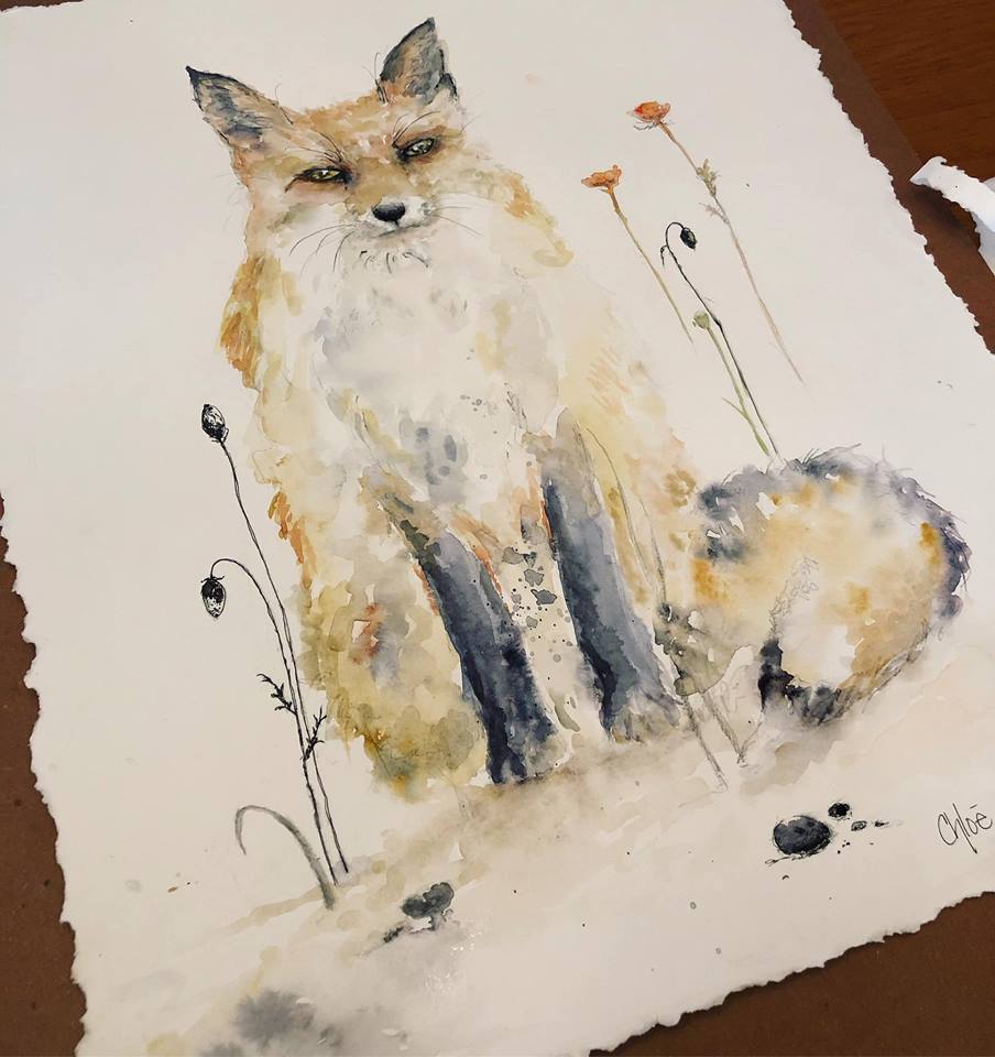Poppy Fox
